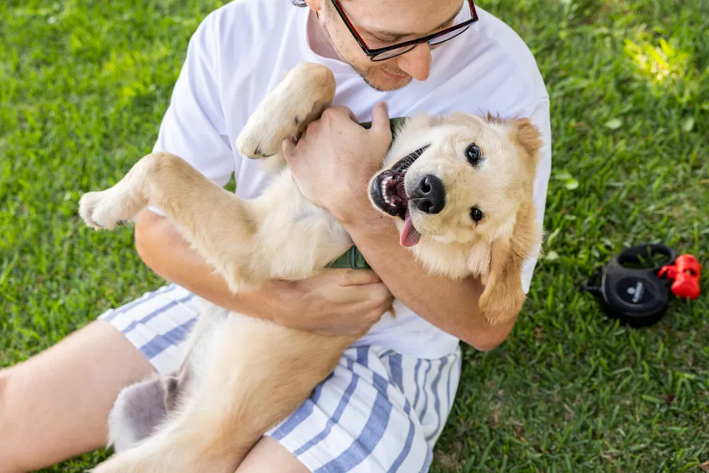 Valentine&rsquo;s Day With Your Dog